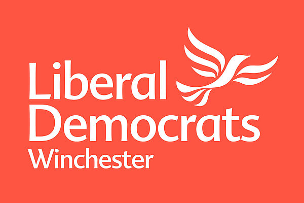 Lib Dems Winchesters